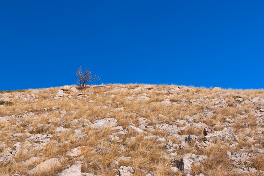 Crimean mountain simple landscape at fall season