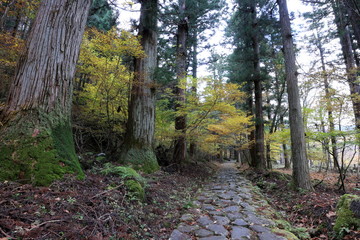 Obraz premium 日光二荒山神社 滝尾道