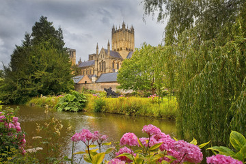 Wells Cathedral, Somerset, England - obrazy, fototapety, plakaty