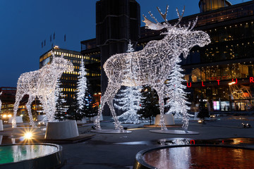 Christmas moose made of light