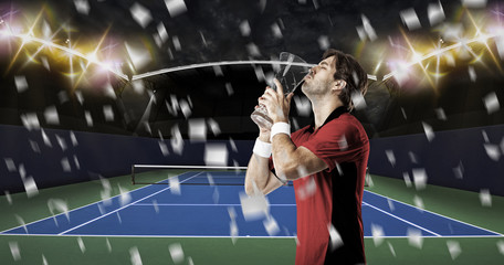 Obraz na płótnie Canvas Tennis Player.