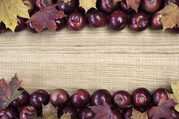 Beautiful frame of red-ripe apples with maple leaves.