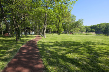 美しいキャンプサイト_東大沼キャンプ場