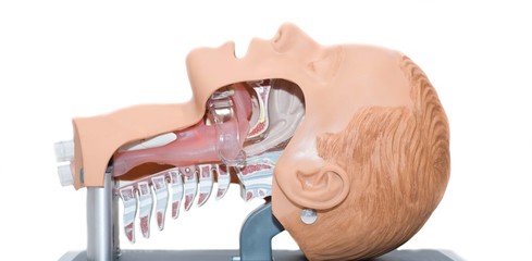 phantom airway unconscious patient