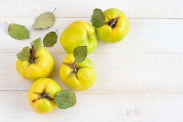 Three quinces on background whiteboard