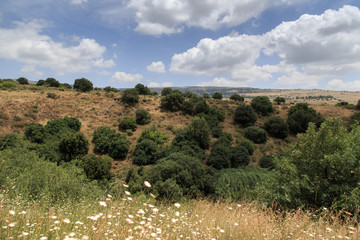 Golan Heights. Banias Nature Reserve