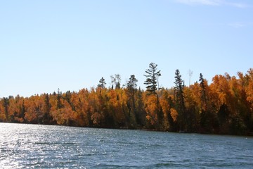 fall foliage on lake