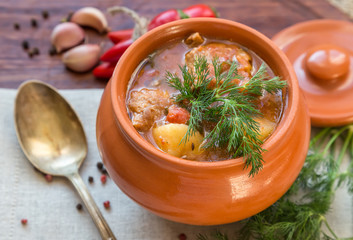 Goulash in the pot