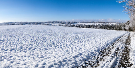 Fototapeta na wymiar Winterlandschaft in der Eifel