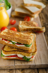 Delicious Italian sandwich