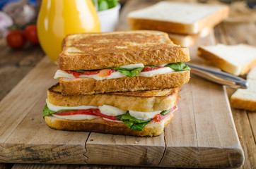 Delicious Italian sandwich