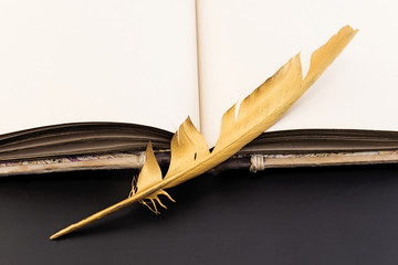 Gold feather and book on a black background