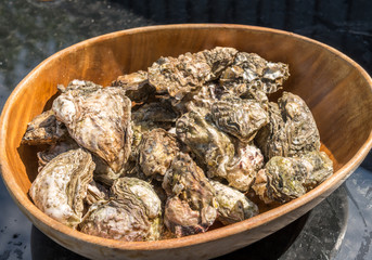 Oyster bowl