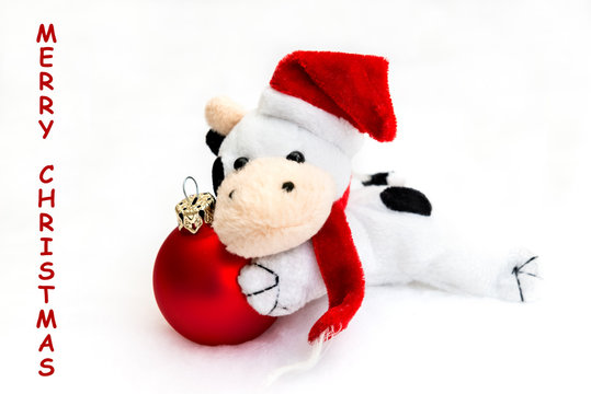 Christmas card: plush caw with christmas cap and scarf  on the red glass ball