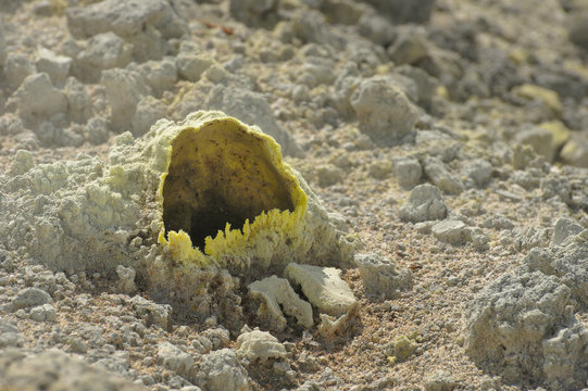 A fumarole (shallow depth of field, selective focus). The Golovnin caldera (also known as Tomari-yama), Kunashir Island, Russia.
