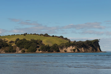 rolling hills at Shakespear Regional Park in New Zealand
