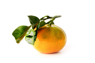 tangerine with leaves isolated on a white background