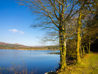 Burrator Reservoir Dartmoor Devon