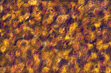 Abstract texture from orange stroke of brush
