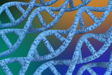 DNA Strands