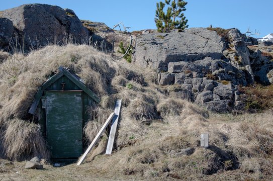 Grassoden