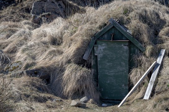 Grassoden