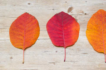 Naklejka na ściany i meble Autumn leaves over wooden background