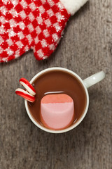 Hot chocolate and marshmallows. Selective focus.