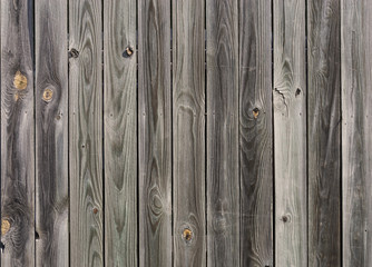 grunge wood wall background