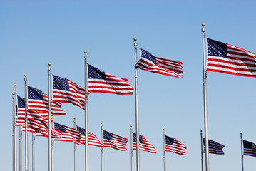 USA flags in a row waving in the wind