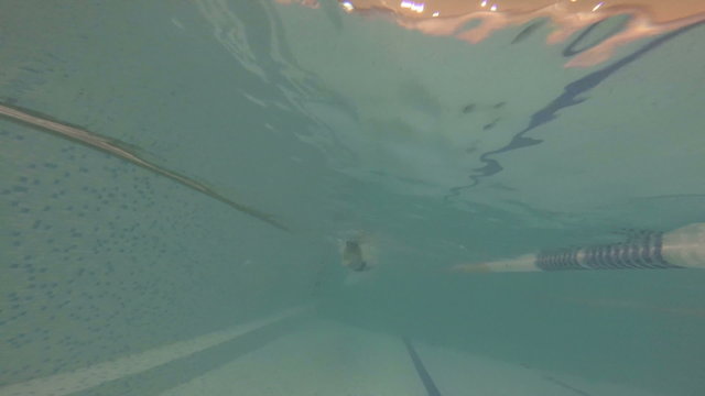 man swim in swimming pool freestyle crawl under