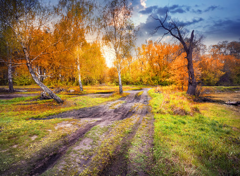 Road from summer to autumn