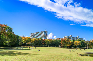 住宅街の紅葉