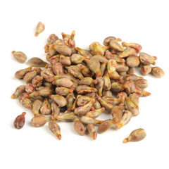 Grape Seeds Isolated on White Background