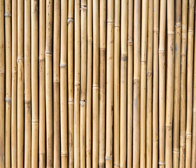 bamboo fence