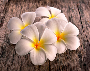 Fototapeta na wymiar white tropical flower on the grunge old wood background