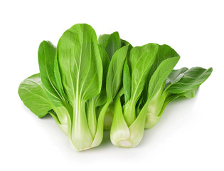Bok choy vegetable on white background