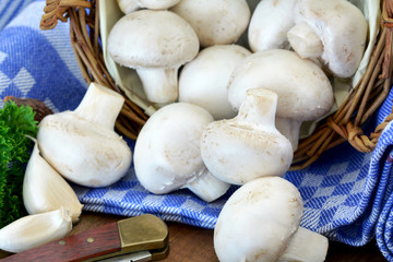 Champignons - Frisch in Körbchen auf Küchentuch / Nahaufnahme - Makro