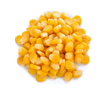 corn seeds on white background