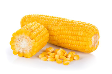 corn on white background