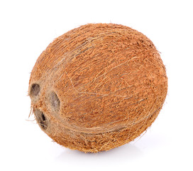coconut on white background