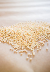 Raw organic white quinoa seeds
