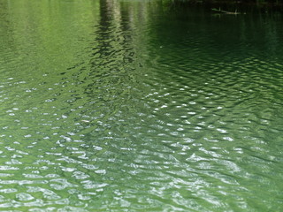 森の中の水辺　沼　池