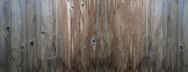 Obraz premium Wood Texture