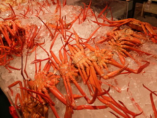 ズワイガニ,海鮮市場