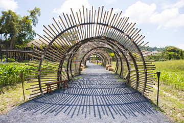 bamboo tunnel structure in garden