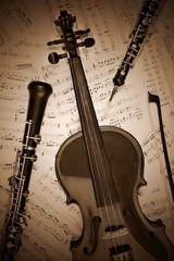 Violin and oboe musical instruments
