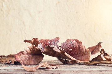 Dry leaves on old wooden planks