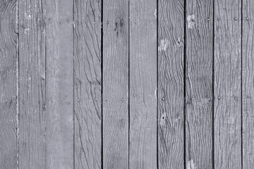 wood texture background