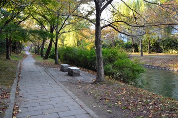 京都　伏見濠川遊歩道